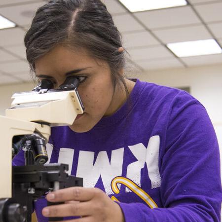 Student looking into microscope in class